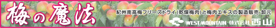 梅の魔法｜株式会社　西山